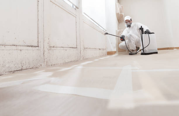 24/7 Emergency Commercial Mold Remediation experts in Smithfield, VA