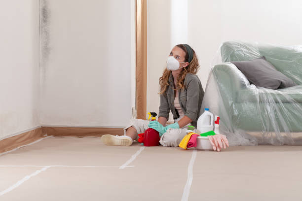 Reliable Commercial Mold Remediation contractor in Smithfield, VA by WQB Mold Removal