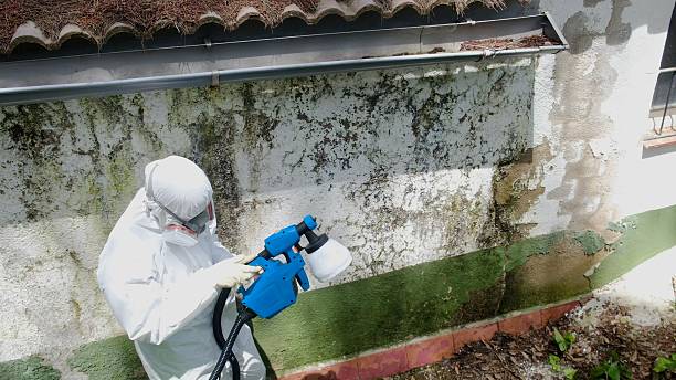 Top rated local Commercial Mold Remediation specialists in Smithfield, VA